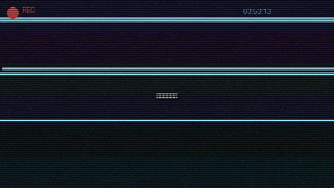 周末随拍记录 - 人物动物交互狗aa 原创视频